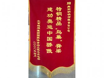 2008年北京奧運(yùn)會(huì)、殘奧會(huì)特別榮譽(yù)